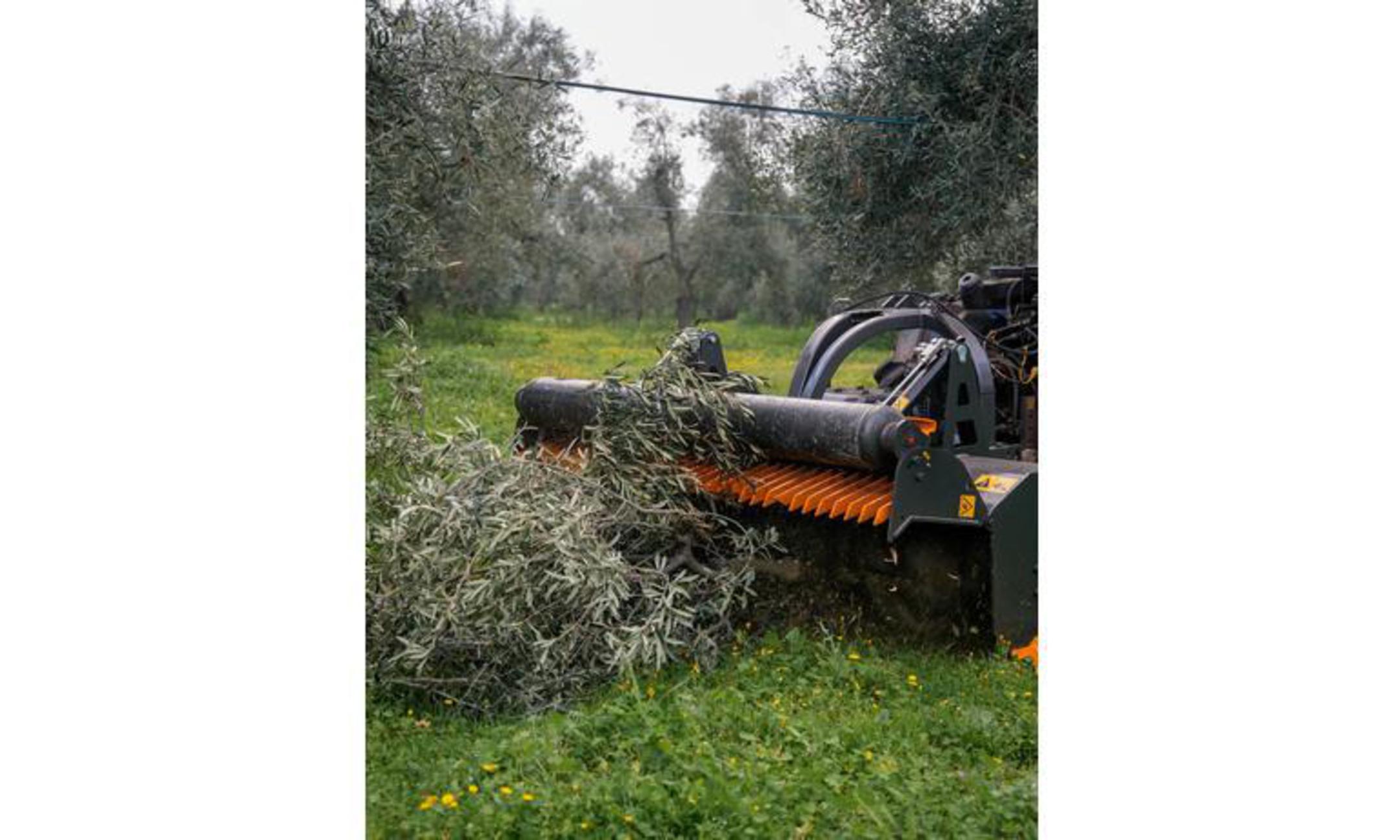 Orizzonti Semi-Forestry BEST mulcher image 1